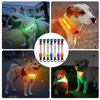 Dog Anti Lost Safety Glowing Collar Multi-Color Pendant